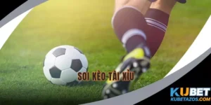 Soi Kèo Tài Xỉu KUBET